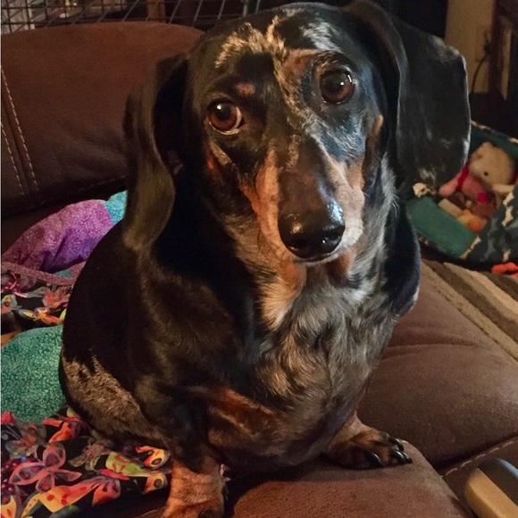 Meet the Posher - Picture 3 of 6